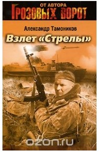 Александр Тамоников - Взлет «Стрелы»