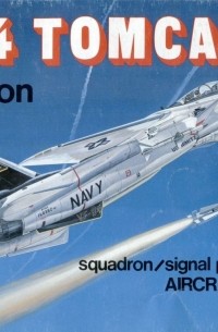 F-14 Tomcat In Action