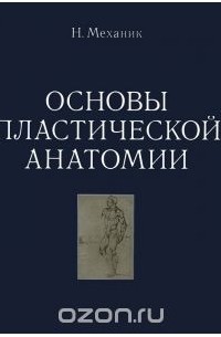 Основы пластической анатомии