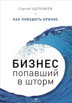  - Бизнес, попавший в шторм. Как победить кризис