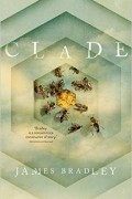 Джеймс Брэдли - Clade