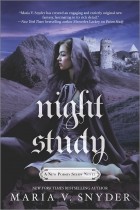 Maria Snyder - Night Study