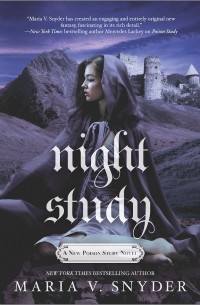Maria Snyder - Night Study
