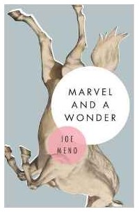 Joe Meno - Marvel and a Wonder