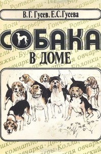 - Собака в доме