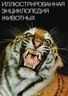 Вацлав Станек - Иллюстрированная энциклопедия животных