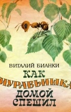 Виталий Бианки - Как муравьишка домой спешил