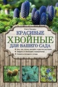 Красивые хвойные для вашего сада