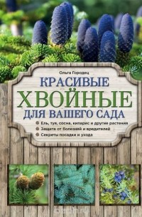 Красивые хвойные для вашего сада