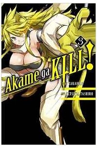  - Akame Ga Kill!, Vol. 3