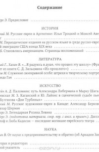 Вадим Телицын - Русские евреи в Америке. Книга 15