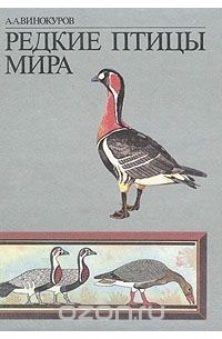 Редкие птицы мира