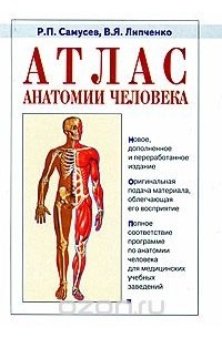 Атлас анатомии человека