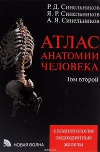 Атлас анатомии человека. В 4-х томах. Том 2