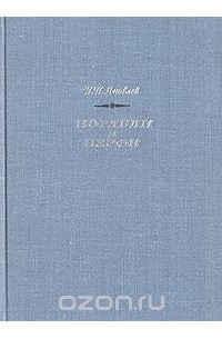 Иван Яковлев - Корабли и верфи. Очерки истории отечественного судостроения