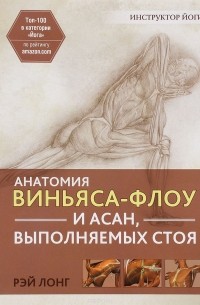 Анатомия виньяса-флоу и асан, выполняемых стоя