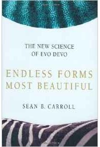 Sean B. Carroll - Endless Forms Most Beautiful: The New Science of Evo Devo and the Making of the Animal Kingdom