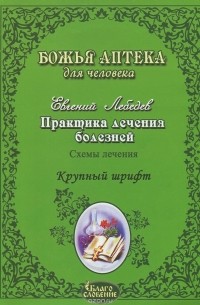 Лебедев Евгений Геннадьевич - Практика лечения болезней. Схемы лечения. Крупный шрифт
