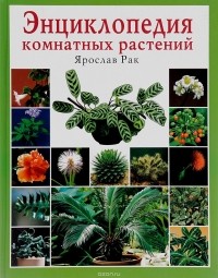 Хацкевич - Энциклопедия комнатных растений