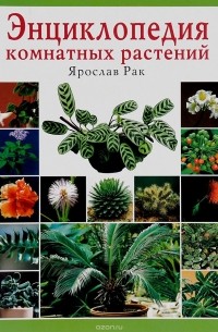 Хацкевич - Энциклопедия комнатных растений