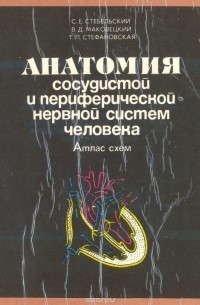 Анатомия сосудистой и периферической нервной систем человека. Атлас схем
