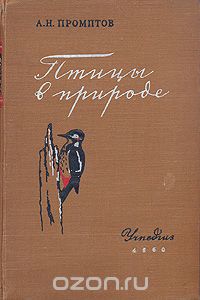 Александр Промптов - Птицы в природе