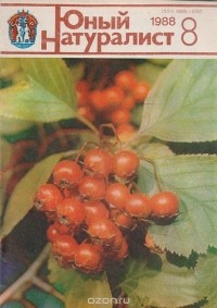 Анатолий Рогожкин - Журнал "Юный натуралист". № 8, 1988 г.