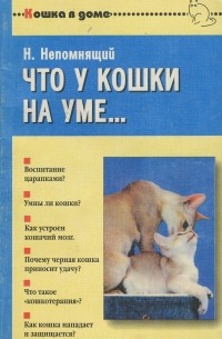 Что у кошки на уме…