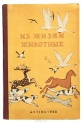  - Из жизни животных