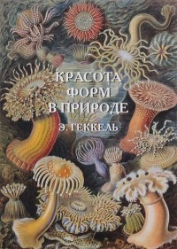 Эрнст Генрих Геккель - Красота форм в природе