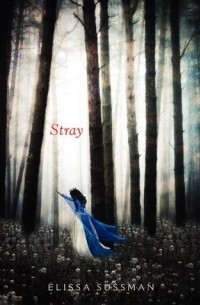 Elissa Sussman - Stray