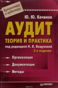 Ю. Ю. Кочинев - Аудит. Теория и практика
