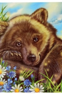 Медвежонок