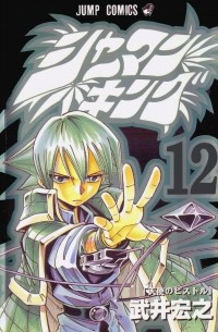 Shaman King 12