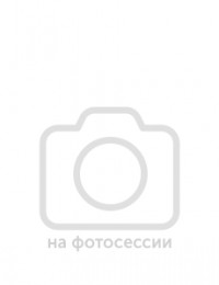  - Закон, власть, политика. Государственный и местный уровни
