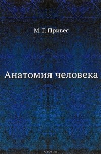 М. Г. Привес - Анатомия человека. Учебник