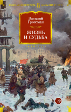 Василий Гроссман - Жизнь и судьба
