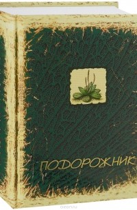 Владимир Курбатов - Подорожник. Встречи в пути, или Нечаянная история литературы в автографах попутчиков