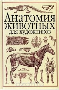 Анатомия животных для художников