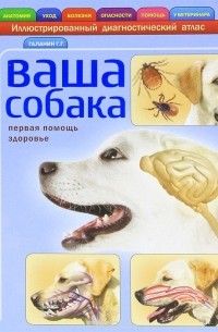 Ваша собака