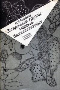 Владимир Васильевич Малахов - Загадочные группы морских беспозвоночных. Трихоплакс, ортонектиды, дициемиды, губки