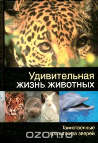 Игорь Павлинов - Удивительная жизнь животных