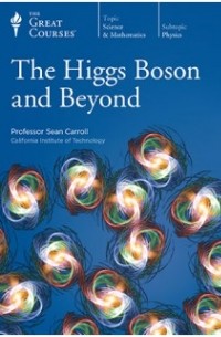Sean Carroll - The Higgs Boson and Beyond
