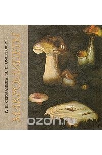 Макромицеты