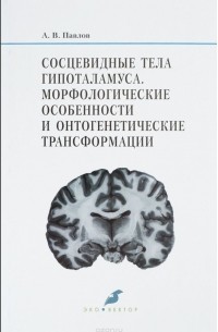 А. В. Павлов - Сосцевидные тела гипоталамуса. Морфологические особенности и онтогенетические трансформации
