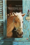 Удивительные кони. Истории, рисунки и фотографии