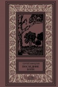 Сергей Минцлов - Последние боги