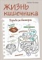 Робин Чаткан - Жизнь кишечника. Борьба за бактерии