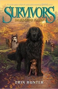 Erin Hunter - Darkness Falls