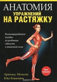  - Анатомия упражнений на растяжку